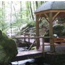 Pfalz Natur